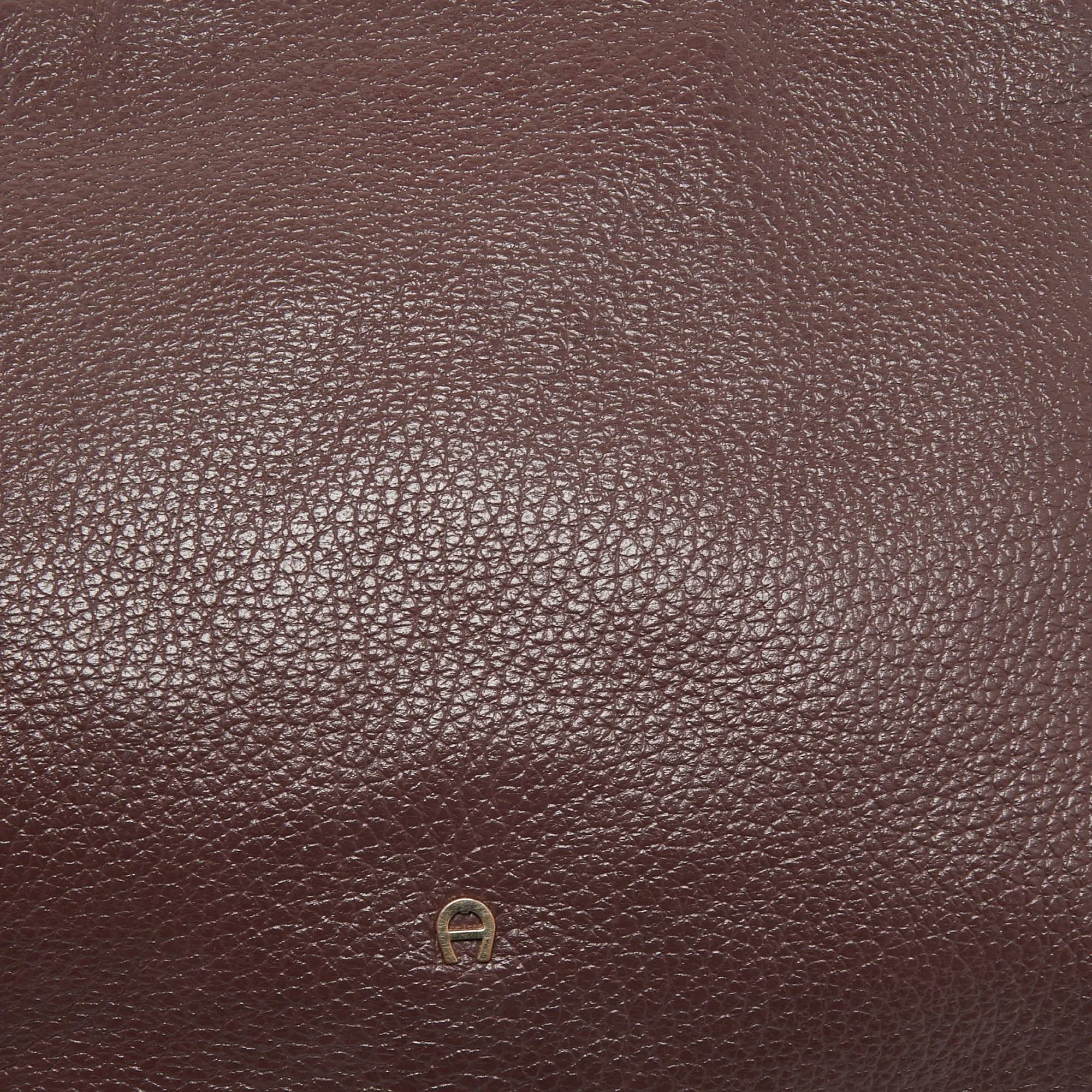 AIGNER Dark Brown Leather Embellished Satchel